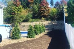 B125E0CB-B9D4-4C11-A0C8-E067D28707F3