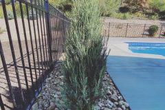 B26C8691-B052-4A20-8D50-C00D2CCD36F2