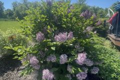 349124257_1085002689554631_6664882913949035166_n