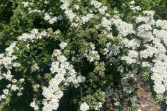 349158640_3377359669153830_2731832425122929931_n