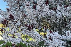 349289140_2517135878436197_5876622234664413579_n