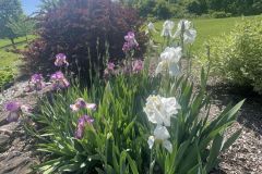 349322024_919614025977455_8043943339312235215_n