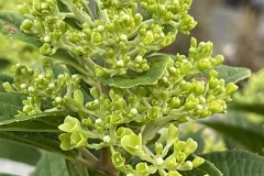 357528258_728422759295094_399837944016759702_n