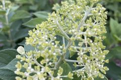 358091985_728426542628049_5476860346812255693_n