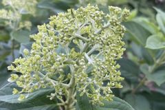 358115109_728426515961385_4897132136712820277_n