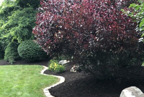 Expert Landscaping Tips for Plant Hardiness Zone 6 in Pittsburgh