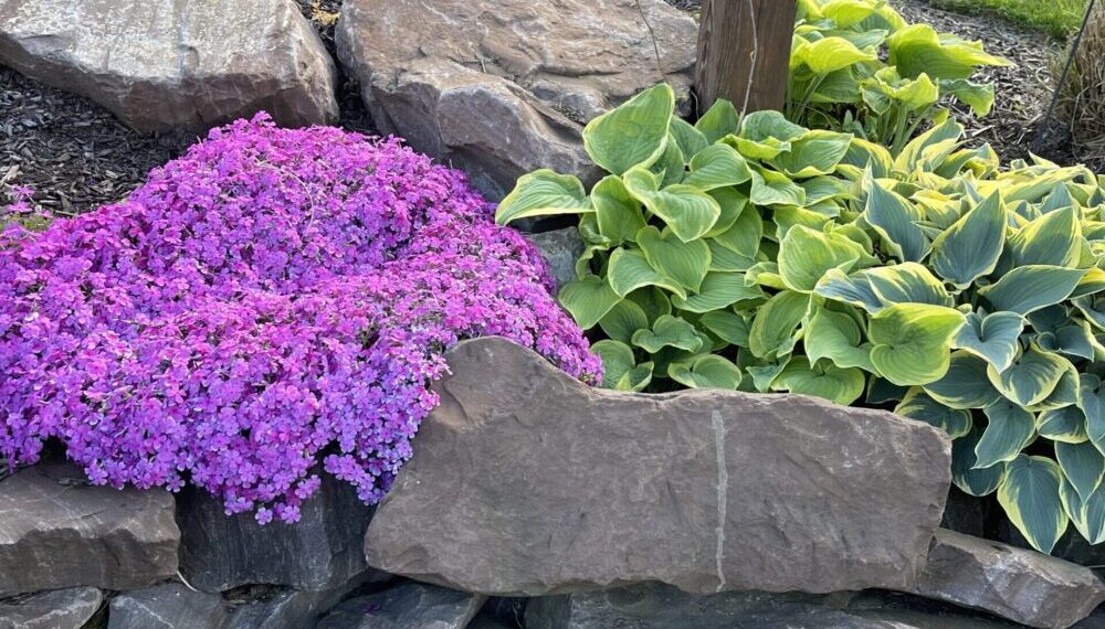 How to Work with a Pittsburgh Landscaping Contractor: Tips and Tricks for Success