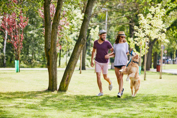 Couple walking their dog